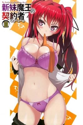 The Testament of Sister New Devil Mio Naruse obra de arte completa impresión de anime waifu #40 Foto 1 de 4