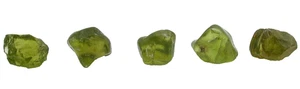 9,21 Gramm fünf Peridot Arizona Cabochon Facette grüner Edelstein grob EBS9509/72525 - Bild 1 von 5
