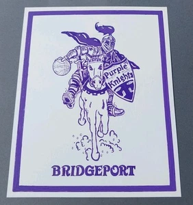 Bridgeport Purple Knights CT Connecticut 8x10" Painting Scrapbook Shadowbox Art - Picture 1 of 1