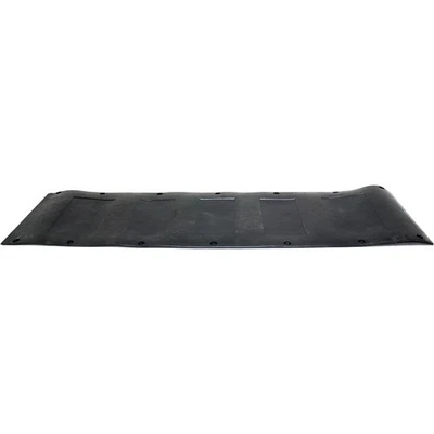 Protector de puerta trasera DZ86700 Dee Zee Foto 1 de 3