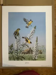 Impresión de artista Don Balke numerada firmada jilgueros mariposa arbusto arte de tocar - Imagen 1 de 16
