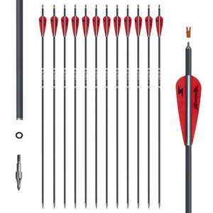 12PCS 28" Carbon Arrows 3" Vane Spine 500 Compound Recurve Bows Hunting - Picture 1 of 13