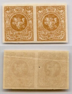Lithuania 🇱🇹 1919 SC 53 MNH imperf pair. rtb6458 - Picture 1 of 1