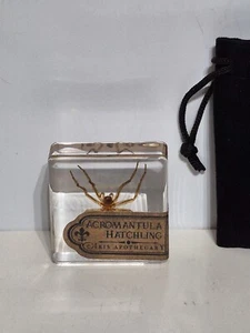 Acromantula Hatchling 4cm Harry Potter por Trunco de Requisitos - Imagen 1 de 2
