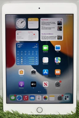 APPLE IPAD MINI 4ª GENERACIÓN A1538 16GB - SOLO WIFI A1538 7.9" Foto 1 de 3