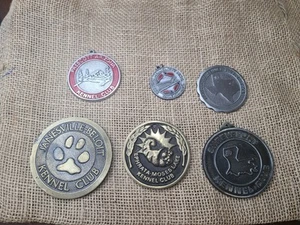 6 Assort American Kennel Club Brass Silvertone Coin Medallion Shreveport Raleigh - Picture 1 of 15