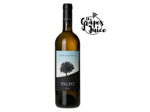 LE MACCHIOLE PALEO BIANCO 2020 VINO BIANCO BOLGHERI TOSCANA IGT  - Foto 1 di 1