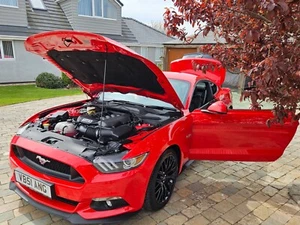 Ford Mustang 5.0GT, FFSH, 3806m, excellent condition, 0 prior owners, see detail - Picture 1 of 24