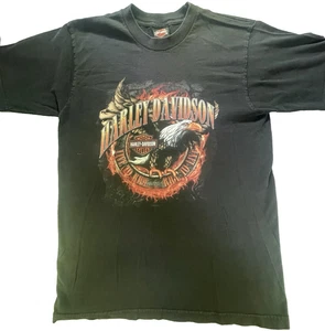 Harley Davidson Live to Ride Holoubek Flaming Bald Eagle Durango Gr. L T-Shirt - Bild 1 von 8