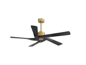 WINGBO 54 DC Ceiling Fan with Lights and Remote Control, 5 Reversible Carved - Picture 1 of 15