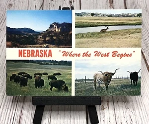 Nebraska Where The West Begins Cattle Buffalo Elk Multi View Postcard - Picture 1 of 4