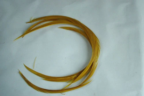 PECHETRUITE 4 x Biot quills d'oie OLIVE DOREE montage fliegen golden feather goose feather