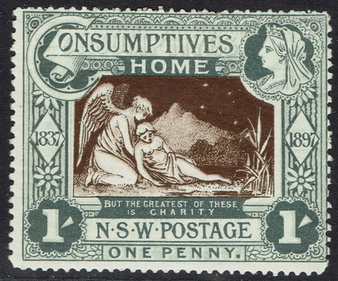 NEW SOUTH WALES 1897 QV CHARITY 1 Cover