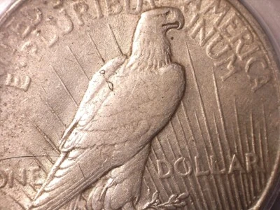 1923-P Peace Silver Dollar Vam 1E Top 50 Broken Wing - ICG EF40 details - Image 1 of 4