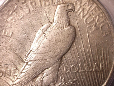 1923-P Peace Silver Dollar Vam 1E Top 50 Broken Wing - ICG EF40 details Cover