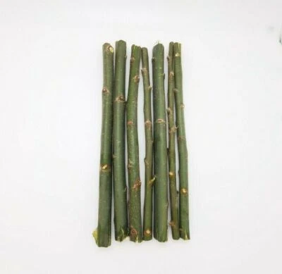 150 Hybrid Willow Tree Fast Growing Shade Screen Windbreak Austree Cuttings - Image 1 of 4