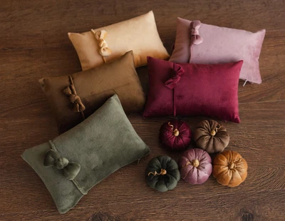 Juego de utilería para fotografía recién nacido terciopelo calabaza otoño decoración bebé posando almohada Foto 1 de 2