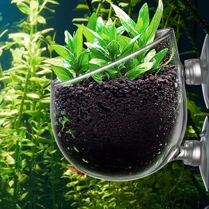 Set of 2 Aquatic Plant Growing Pot Holder Suction Glass Cups Aquarium Fish Tanks - Picture 1 of 12