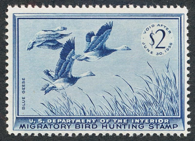 US RW22 MINT LH, F/VF $2 DARK BLUE - Image 1 of 1