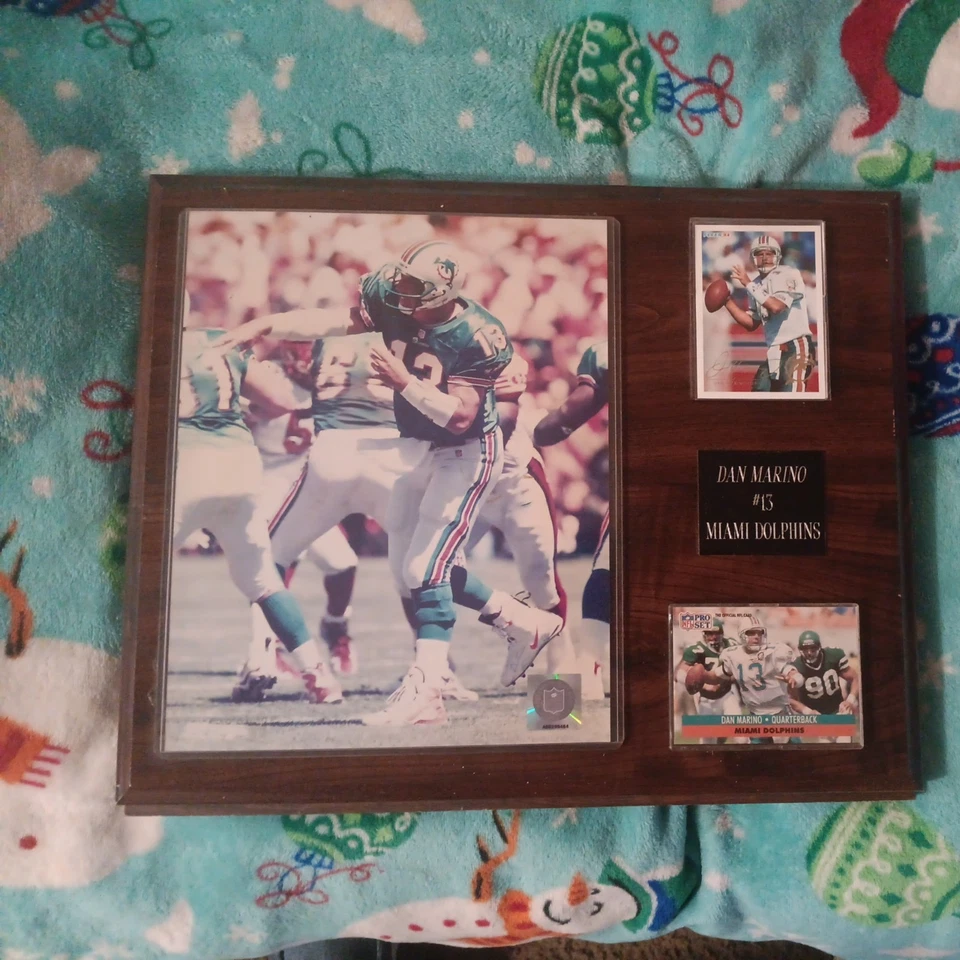 Placa Dan Marino Miami Dolphins 1993-1994 Foto 1 de 4