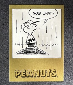 1992 ProSport Peanuts Classics Series 2 #217 NOW WHAT? Charlie Brown, Lucy