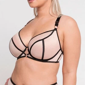 Scantilly Lingerie Reggiseno a immersione con filo esposto rosa/nero 011101 - Foto 1 di 4