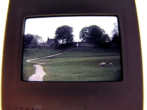 Vintage 1984 Kodak Diafilm Fotografie Schafe auf einem Bauernhof Feld Ferienhaus Haus - Bild 1 von 3
