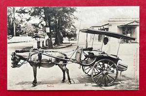 AK Indonesien um 1905 Sados Pferdefuhrwerk Typen   ( 124347 - Bild 1 von 2