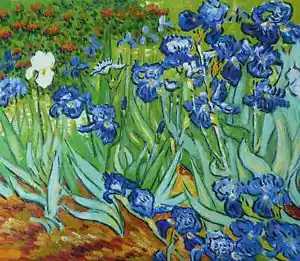 Van Gogh - Irises - Leinwandbild auf Keilrahmen, verschieden Größen - Bild 1 von 1