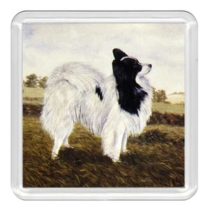 Papillon Dog Acrylic Coaster Novelty Drink Cup Mat Great Gift - Picture 1 of 1