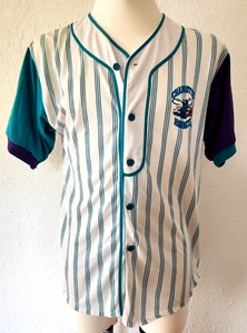 Camiseta Retro Charlotte Hornets NBA Retro Vintage Béisbol, M - Imagen 1 de 14