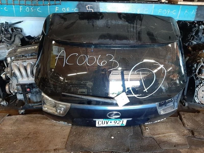 Trunk/Hatch/Tailgate With Power Door Blue Fits 06-09 LEXUS RX400h 737139 Foto 1 de 4