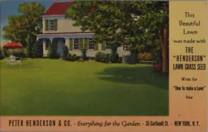 Cartolina pubblicitaria Henderson prato erba semi lino - Peter Henderson Co. NY City - Foto 1 di 2