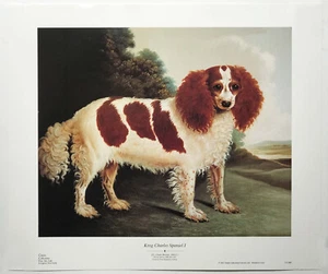 Impresión de reproducción King Charles Spaniel I. de J.L.Clark (británica) - Imagen 1 de 1