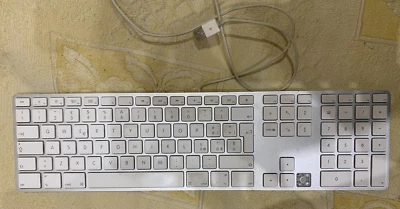 Tastiera Usb Con Filo Apple Keyboard A1243 - Qwerty italiano - per ricambi  - Immagine 1 di 4