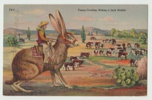 Texas Cowboy riding a Jack Rabbit - Picture 1 of 2