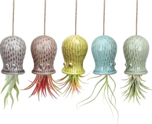 Hanging Airplant Ceramic Jellyfish Hanging Airplant Buddy - Picture 1 of 3