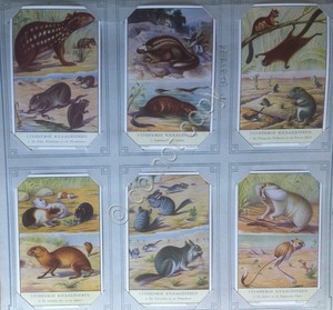 Liebig Holland Figures - S 1600 - Uitheemse Knaagdieren I Rosicanti Exotic 1954