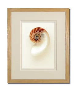 12X16 Natural Coastal Wood Picture Frame with Warm White Double Mat for 8X12 - Picture 1 of 3