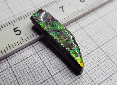 Ammolit, Ammolith, Ammolite Kanada, Maße ca. 26 x 7 x 4 mm, Gewicht 8,7 Karat! - Bild 1 von 4