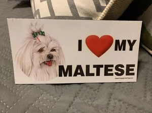 I love My Maltese Artwork Fun Magnet 8" x 4" New without Sticker - Foto 1 di 3
