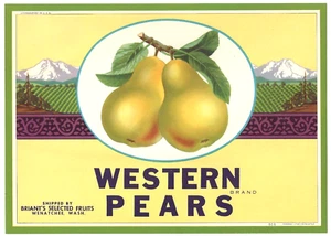Etiqueta original de caja de pera WESTERN Wenatchee Washington Briant's Selected Fruits - Imagen 1 de 1