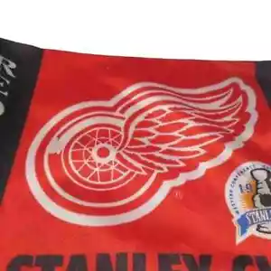 Detroit Red Wings 1997-1998 Stanley Cup Champions Car Flag Fremont Die - Picture 1 of 7