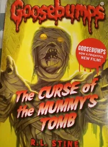 Gänsehaut Der Fluch des Mumiengrabes Taschenbuch von R L Stine gebraucht - Bild 1 von 7