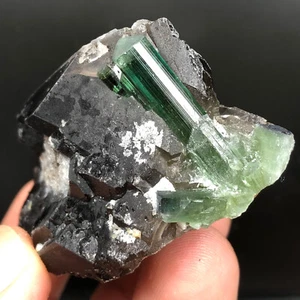 98 Grams Very Unique Quality Tourmaline with Quartz Specimen @ Afghan - Picture 1 of 4