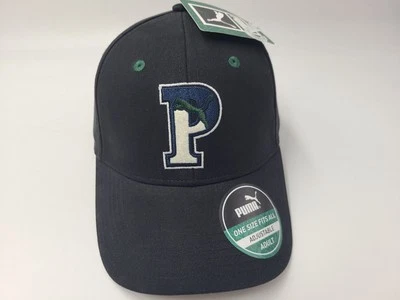 Gorra Puma Snapback Algodón Logo P Béisbol Informal Papá Hombres Mujeres Negra Verde Foto 1 de 4