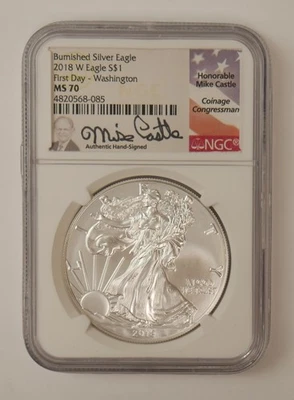 2018 W BURNISHED AMERICAN SILVER EAGLE NGC MS70 - FIRST DAY WASHINGTON - Image 1 of 3
