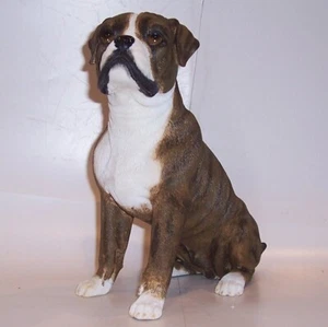 Best of Breed - Boxer - sentado - Imagen 1 de 1