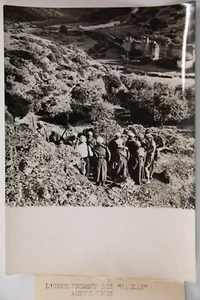 PHOTO DE PRESSE TAMPON AGENCE INTERCONTINENTAL 1950 GUERRE D' ALGERIE 13X18cm - Bild 1 von 2