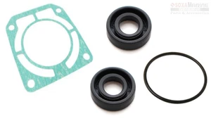 91253ZZ3003 Outboard Lower GearCase Pump Base Oil Seal 91359MB0000 Honda Marine - Foto 1 di 1